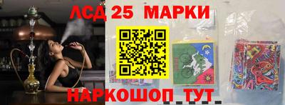 apvp Можга