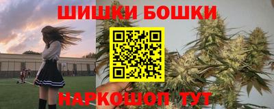 apvp Можга