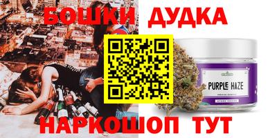 apvp Можга