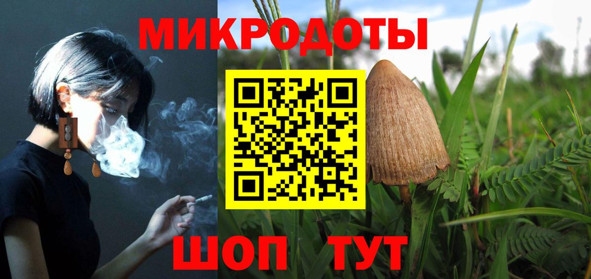 Псилоцибиновые грибы Psilocybe Избербаш