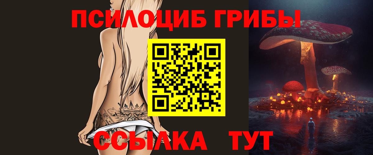 Избербаш  Галлюциногенные грибы Magic Shrooms  что такое   Вход с VPN 